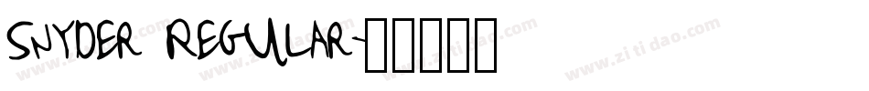 Snyder Regular字体转换